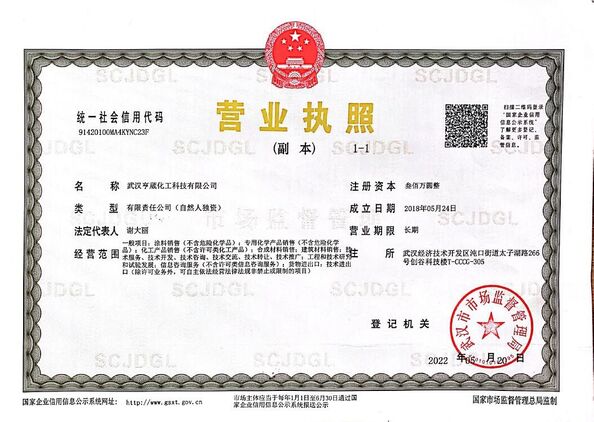 China Wuhan Honrepoxy Co.,Ltd Certificações